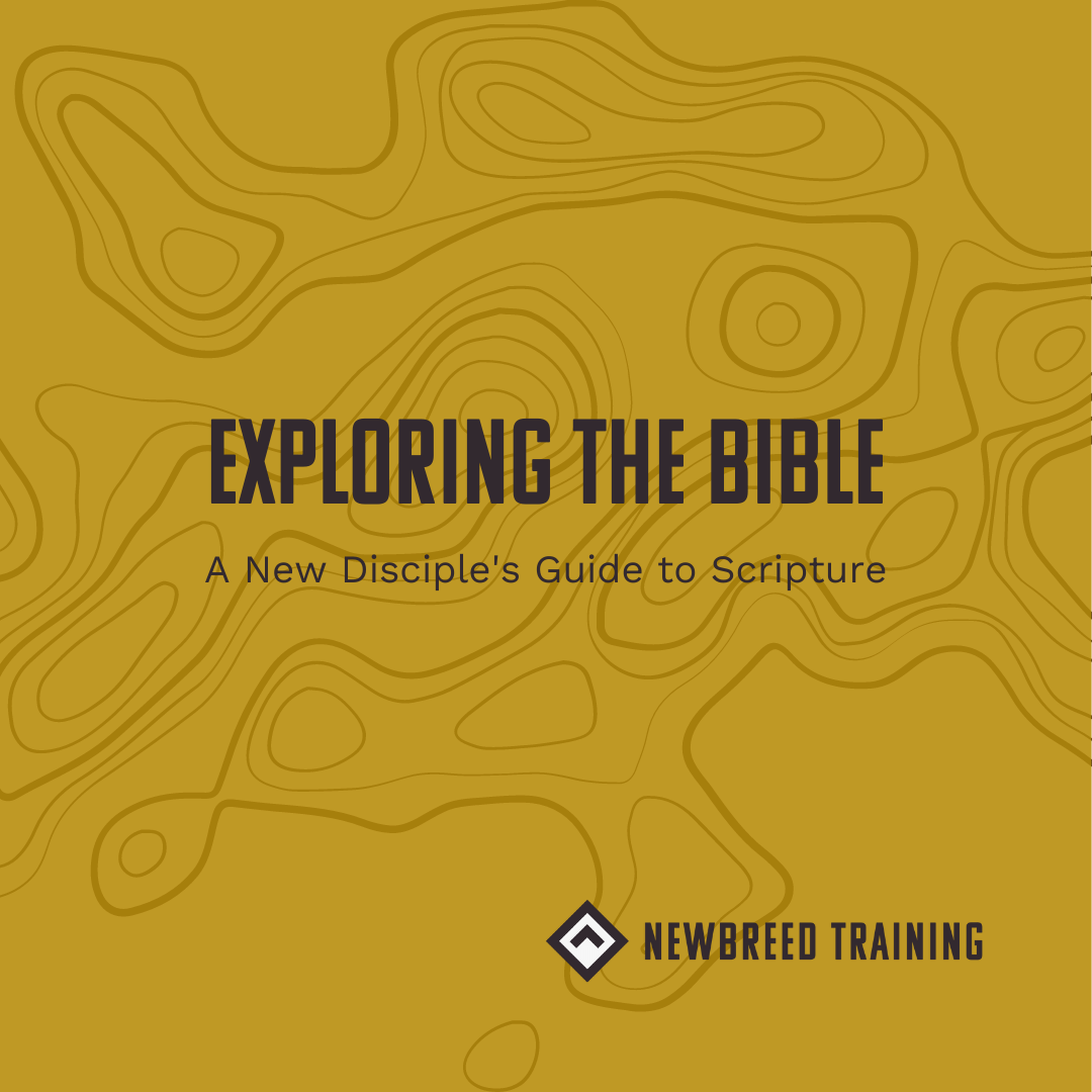 Exploring the bible square