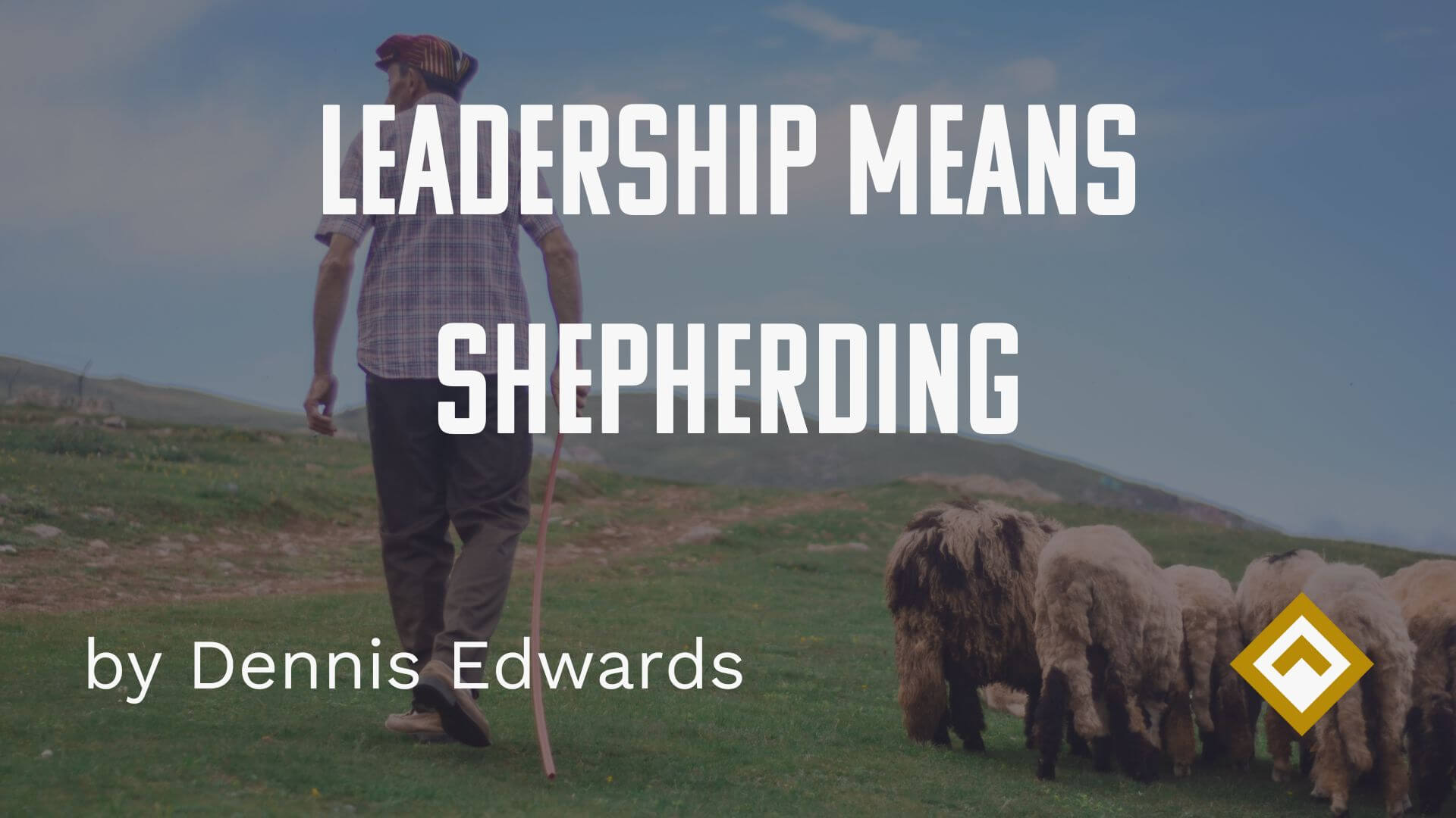shepherding blog