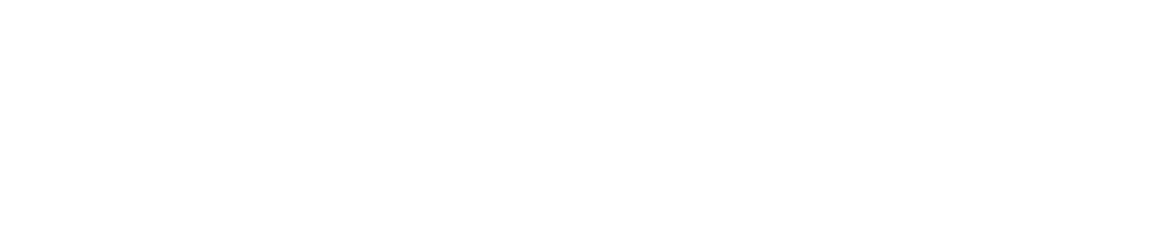 Discipology White Logo