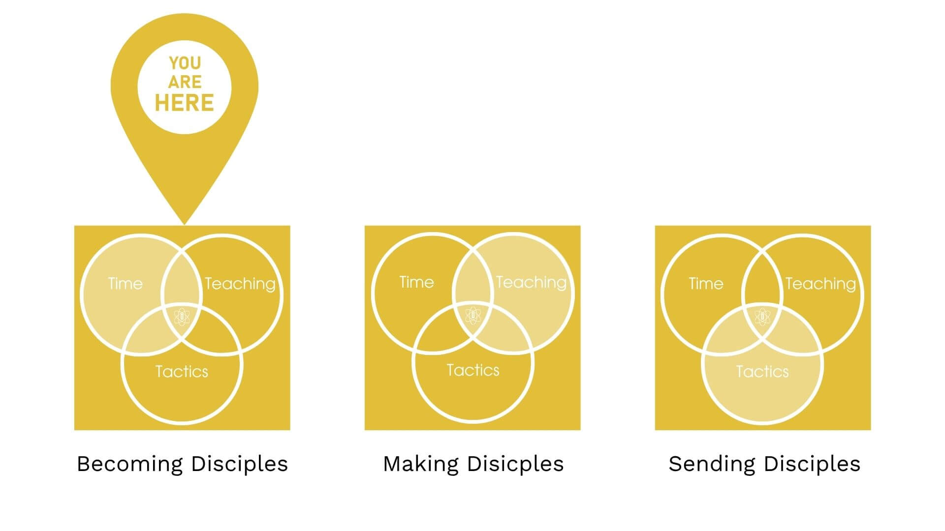 Discipology Year